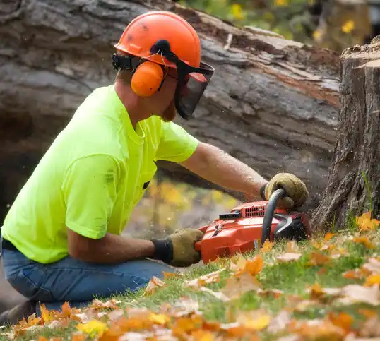 tree services Meridian Station